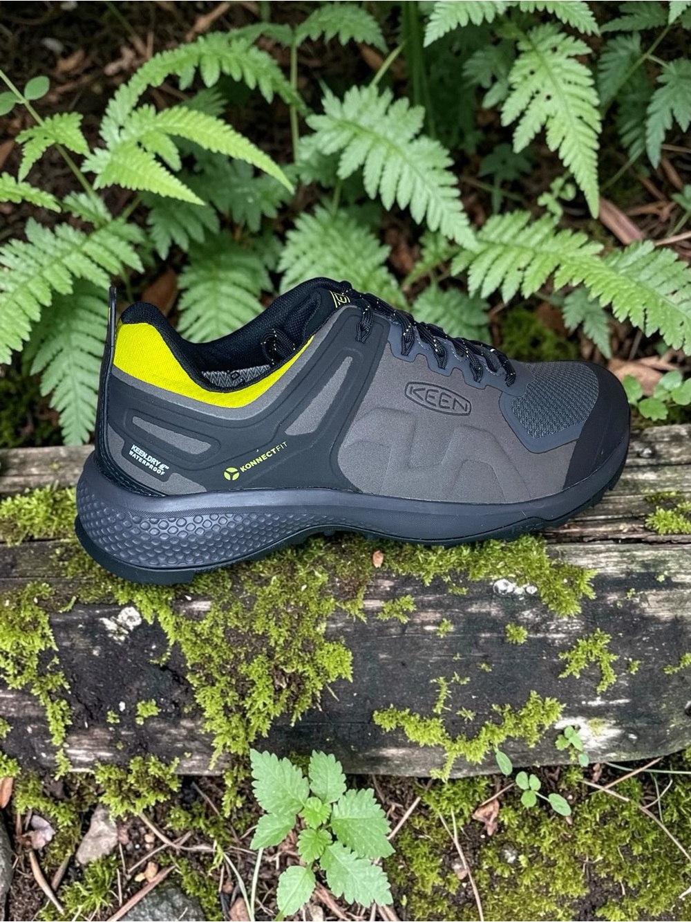 KEEN Explore WP
